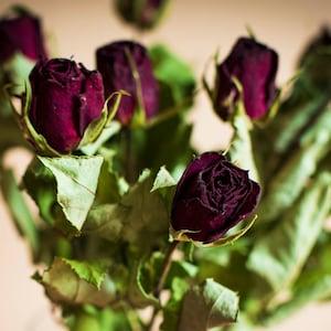 10 Dried roses bouquet, burgundy-black natural  dried Roses Dried Arrangements, floral Craft Supply Crafting dried bouquet