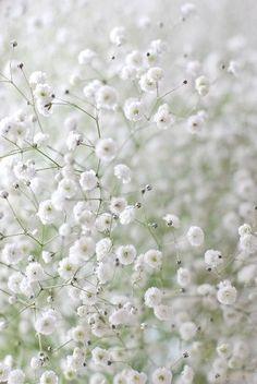Hello Healthy Spring sur Pinterest - Food for Love Flower Delivery
