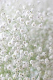 Hello Healthy Spring sur Pinterest - Food for Love Flower Delivery