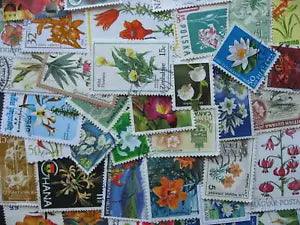 Topical hoard breakup 35 Lilies flowers. Mixed condition, few duplicates