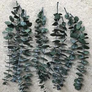 5Pcs Dried Flower Natural Eucalyptus Branch Plants Leaves Home Floral Decor US