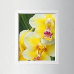 Yellow Orchid Wall Art, Printable Artwork, Flowers, Love, Beauty, Purity