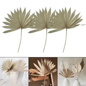 3 Pieces Dried Palm Leaves Plant Branches Jungle Dried Fan For Wedding Decor