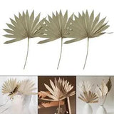 3 Pieces Dried Palm Leaves Plant Branches Jungle Dried Fan For Wedding Decor