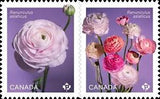 Die Cut = RANUNCULUS - PERSIAN BUTTERCUP = Type-2 pair from BK Canada 2023 MNH