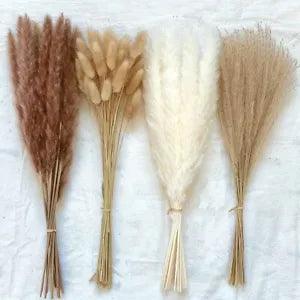 100Pcs/lot Grass Fluffy Room Phragmites Natural Bunny Tail Grass Dried Flowers