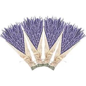 Uieke Dried Lavender Bundles, Natural Dried Lavender Flowers 280-300 Stems 16???