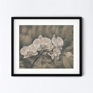 Orchids Art Print - Exotic Tropical Flower Botanical Drawing - Blossom Pencil Sketch Realism - Handmade 8x10 Artwork With 11x14 Mat Option