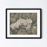 Orchids Art Print - Exotic Tropical Flower Botanical Drawing - Blossom Pencil Sketch Realism - Handmade 8x10 Artwork With 11x14 Mat Option