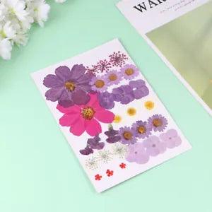 29 Pcs Dried Pressed Petals Silk Flowers Craft DIY Accessories Artificial Plants