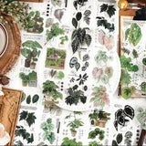 Green plant research institute series 6 sheets PET stickers (INSTOCK)