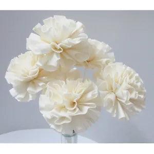 Carnation Classic Dried Flower Reed Diffuser Decor Home Fragrance Wholesale Lot
