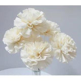 Carnation Classic Dried Flower Reed Diffuser Decor Home Fragrance Wholesale Lot