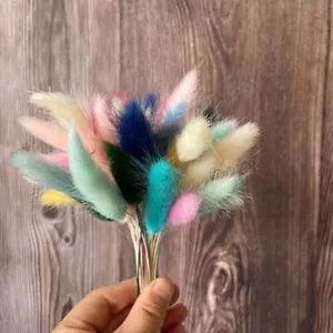 Dry Bunny Tails Grass Flower Heads - DIY Natural Flowers Rabbittail Mini Bouquet
