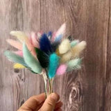 Dry Bunny Tails Grass Flower Heads - DIY Natural Flowers Rabbittail Mini Bouquet