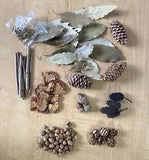 Natural Dried Outdoor Mix - Pinecone, acorn, leaves, dried flowers, sticks, Ect.