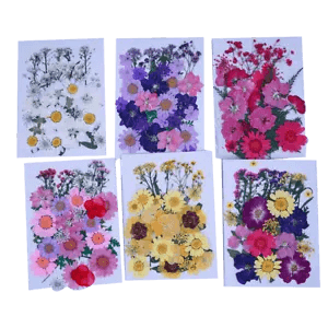 Pressed Dried Mixed Flowers+Leaves Plant Herbarium For Jewellery Bookmark...