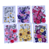 Pressed Dried Mixed Flowers+Leaves Plant Herbarium For Jewellery Bookmark...