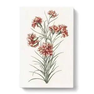 Canvas Print Wall Art Six Carnations by Johan Teyler Framed Picture