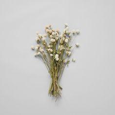 15 Beautiful Dried Flower Bouquets Your Living Room Will Thank You For Buying Flower Delivery