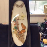 3 Butterfly And Dried Flowers Under OvalBeveled  Glass