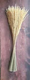 Natural Dried Reed Grass Plumes Bundle Craft Fall Decor Gold Color