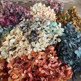 Natural Fresh Preserved Flower Petals - Reals Dried Wood Hydrangea Flowers Heads