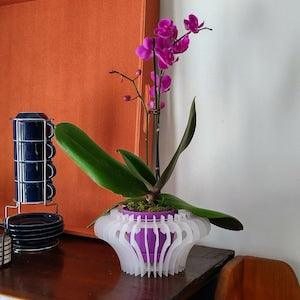 TIFFANY-Orchid Planter-Succulent Planter-small size-Indoor-Outdoor-Hanging-Orchid Basket