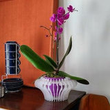 TIFFANY-Orchid Planter-Succulent Planter-small size-Indoor-Outdoor-Hanging-Orchid Basket