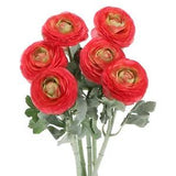 Artificial Ranunculus Flowers, 6 Stems Faux Permanent Flower Floral, Light Red