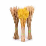 Real Wheat Natural Dried Flowers Wedding Party Decoration Craft Scrapbook