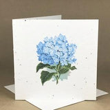 Plantable Eco-Friendly Seeded Card / Blue Hydrangea