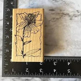 Rubber Stamp Stargazer Lily Flower Hampton Art  1997