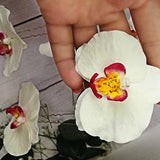 Orchid hair pin real touch flowers wedding accessories bridal hair pins hair accessories polymer clay artificial flowers plant lover gift