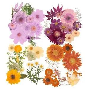Pressed Flowers Bulk Dried Flower for Resin Mold, Dried Flower Rustic Style