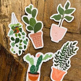 Mystery Sticker Pack, green plant, plant mama, boho plant, Die Cut Stickers for Water bottles, Laptops, Gift Grab Bags