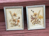 Pair of Vintage EAST GERMANY Dried Pressed Flowers Foliage in Wood Frames
