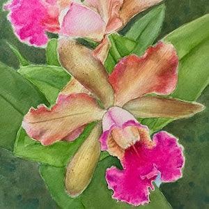 Volcano Queen Orchid Watercolor Painting by Jennifer Greenfield