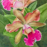 Volcano Queen Orchid Watercolor Painting by Jennifer Greenfield