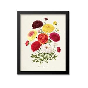 Persian buttercup Botanical Print, Ranunculus Bouquet, Flower Art Print, Flower Wall Art, Floral Art, Garden, red, yellow, white, pink