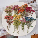 A Pack of 6 PCS,Dried Pressed,Pink Rose Stems Pressed, Real Dry Rose Flower Stems Tiny, Rose Buds Dry Preserved Flowers Small Rose Buds