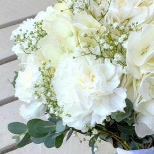 50 seeds Carnation (Dianthus Caryophyllus Chabaud ice white