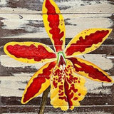 Tiger Orchid Acrylic Painting on Upcycled Wood