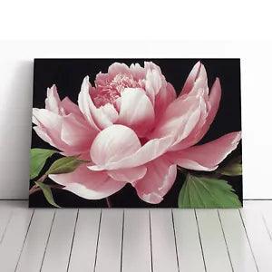 Delicious Peony Flower Canvas Print Wall Art Framed Picture Home Decor Large