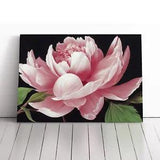 Delicious Peony Flower Canvas Print Wall Art Framed Picture Home Decor Large