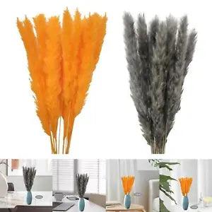 15x Dried Pampas Grass Phragmites Reed Flower Home Bouquet Boho Wedding