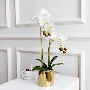 VICKY YAO Faux Floral -Real Touch 2 Stem Orchid Arrangement Golden Pot / Different Colors