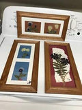 Signed Wyoming Real Dried Pressed Flowers Foliage ~ Wood Wall Frames (3)