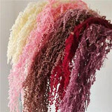 Preserved Long Lasting Love Tear Plants And Real Natural Hanging Plant Accessory