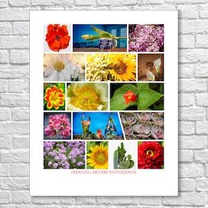 Decorative photo - Mosaic of 16 colorful floral theme photos, lilac, sunflower, poppy, daisy, tulip, lillys. fine art photo paper print